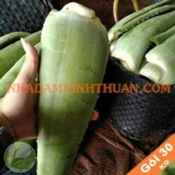 Nguyên Liệu Lá Nha Đam Thái 30 KG