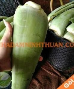 Nguyên Liệu Lá Nha Đam Thái 30 KG
