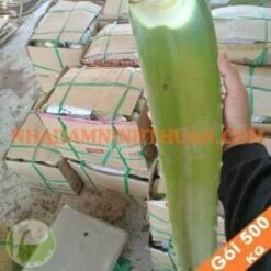 Nguyên Liệu Lá Nha Đam Thái 500 KG