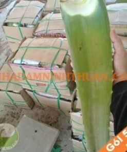 Nguyên Liệu Lá Nha Đam Thái 500 KG