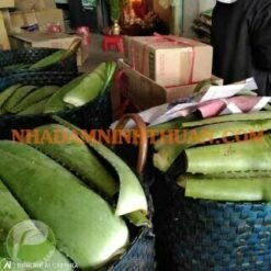 Alternative view of Nguyên Liệu Lá Nha Đam Thái 30 KG