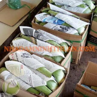 Nguyên Liệu Lá Nha Đam Thái 3 Tấn - Ảnh 3