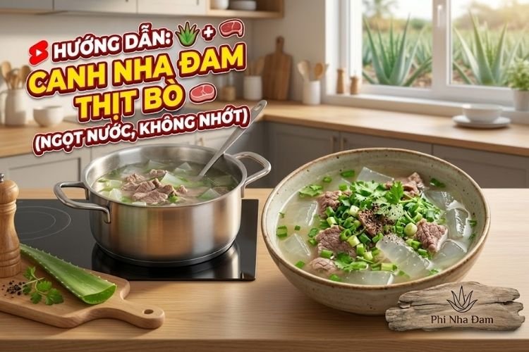 Hướng Dẫn Cách Nấu Canh Nha Đam Thịt Bò Ngọt Nước, Không Nhớt
