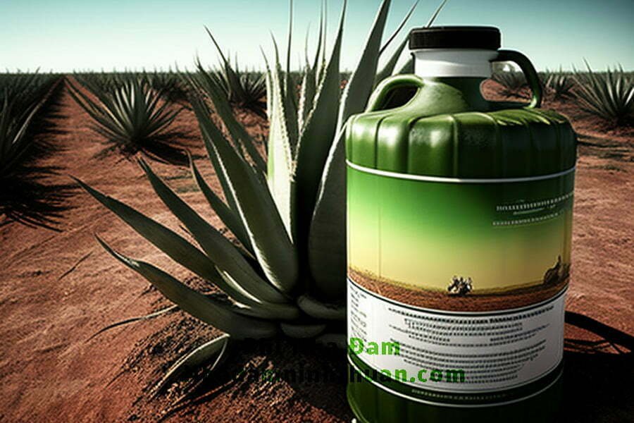 Giá Trị Kinh Tế, Công Dụng Và Lợi Ích Của Nha Đam Trong Ngành Nông Nghiệp