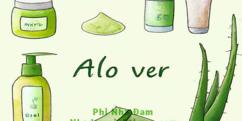 Lợi ích của nha đam: Hướng dẫn toàn diện