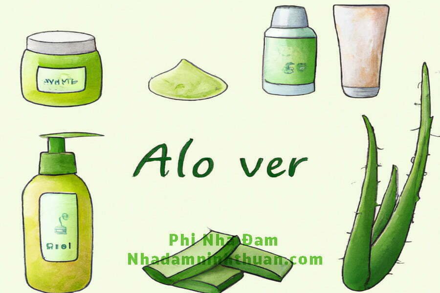 Lợi ích của nha đam: Hướng dẫn toàn diện