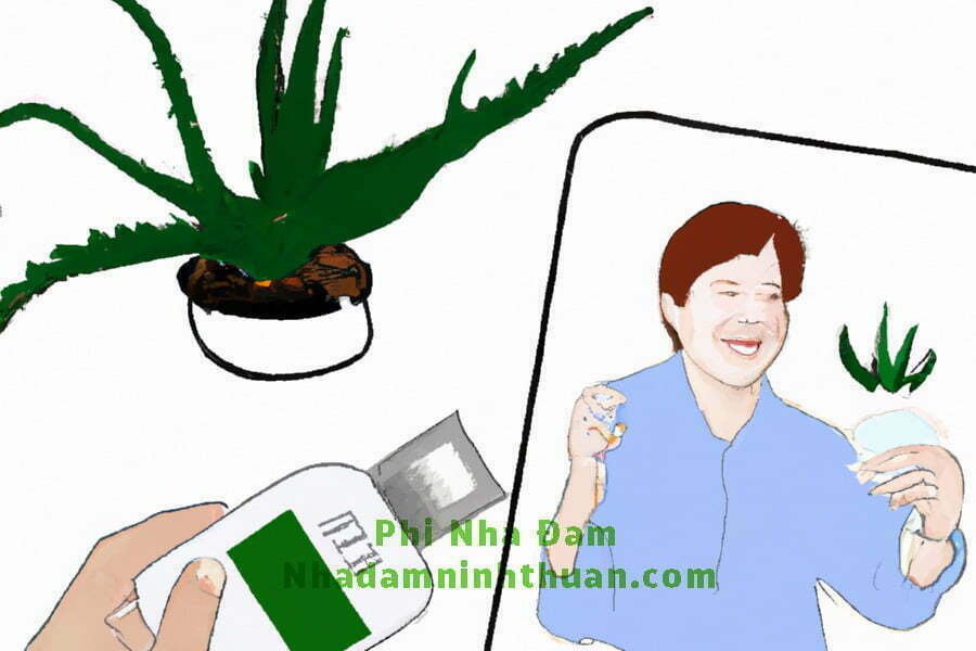 Nha đam và bệnh tiểu đường: Kiểm soát lượng đường trong máu một cách tự nhiên