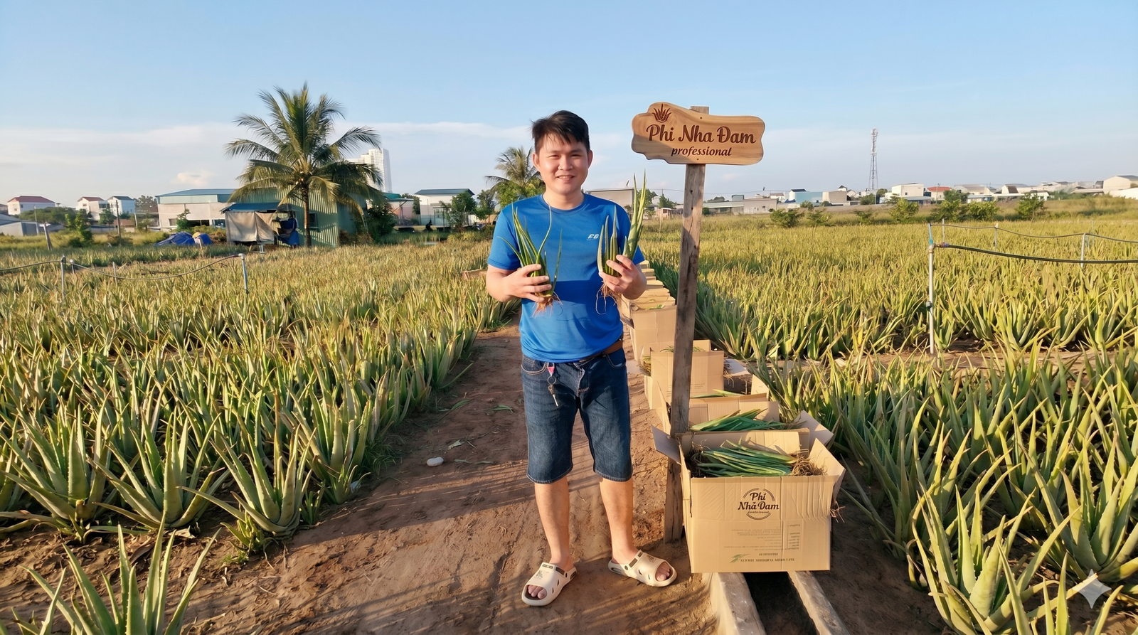 Hộ Kinh Doanh Phi Nha Đam