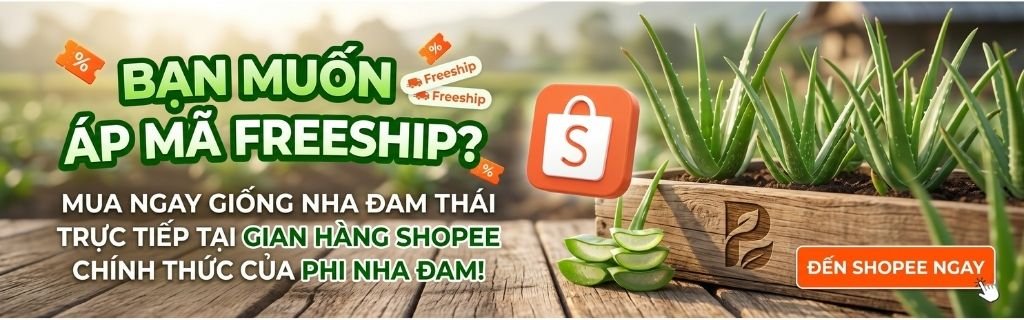 Banner shopee cho sản phẩm phi nha đam