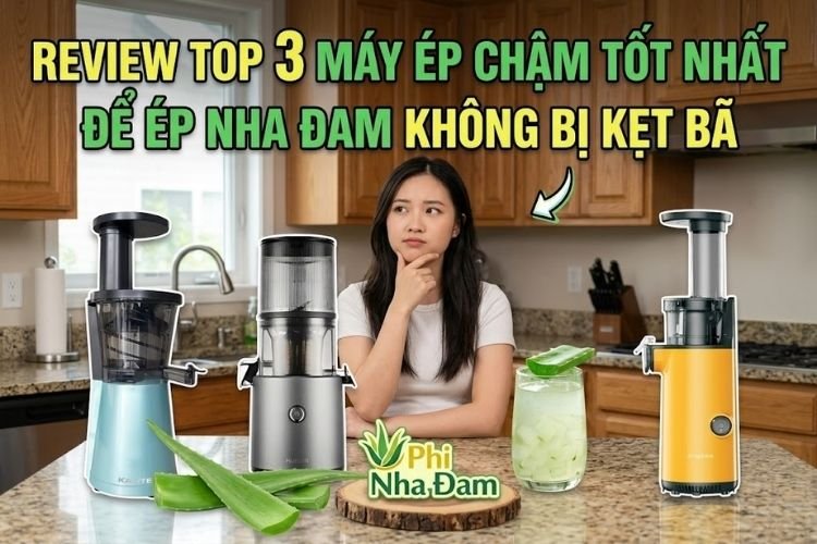 Review Top 3 Máy Ép Chậm Tốt Nhất Để Ép Nha Đam Không Bị Kẹt Bã