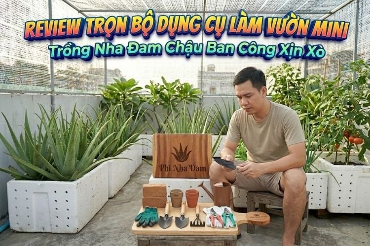Review Trọn Bộ Dụng Cụ Làm Vườn Mini Trồng Nha Đam Chậu Ban Công Xịn Xò