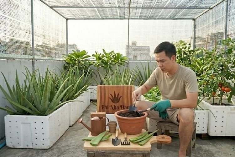 Review bộ dụng cụ làm vườn mini xới đất bón phân cho nha đam sân thượng